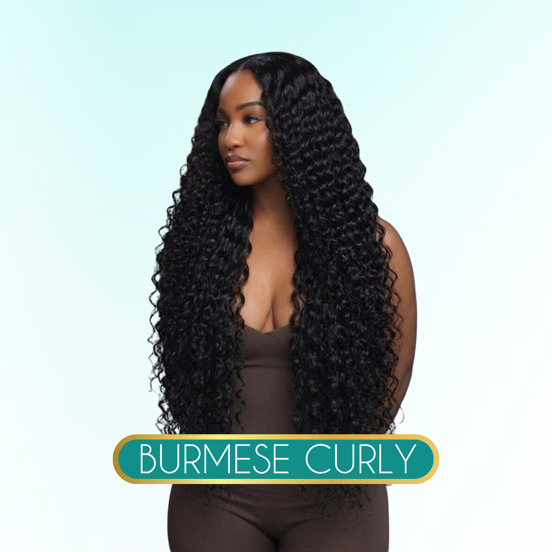Burmese Curly